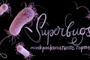 На 15 януари Ratio представя: Йордан Стефанов в „Superbugs - микроскопичните герои“