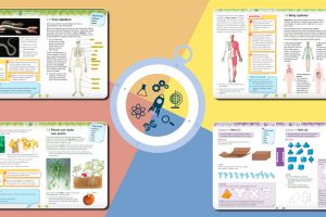 Вижте повече за програмата Cambridge Primary, по която ще се учи в ЧНУ Izzi Science for Kids