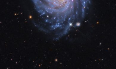 NGC 3660 и галактиката на Бурчин (Астрономическа снимка на деня – APOD)