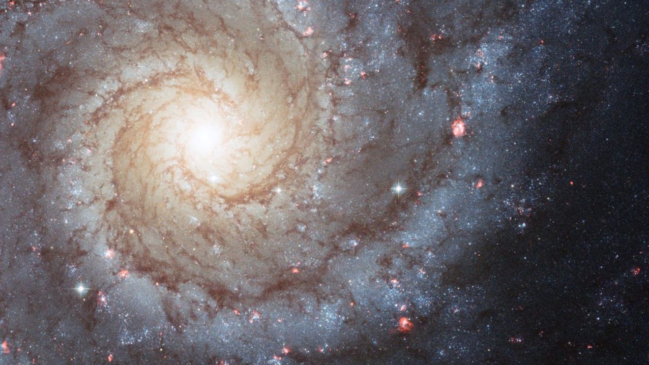 M74: великолепната спирала (Астрономическа снимка на деня – APOD)