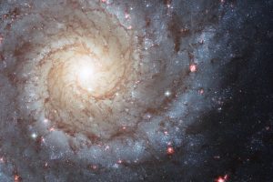 M74: великолепната спирала (Астрономическа снимка на деня – APOD)